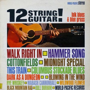 12 String Guitar!