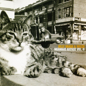 Wilco - Meanest Man Lyrics - Zortam Music