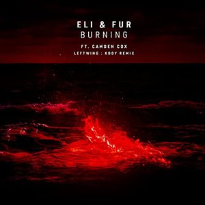 Burning (feat. Camden Cox) [Leftwing : Kody Remix]