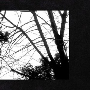 If I Don't Wake Up, I Love You - Single