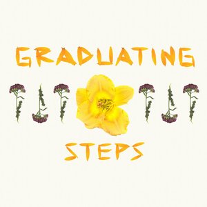 Graduating Steps