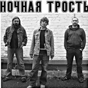 Image for 'Константин Ступин и группа Ночная трость'