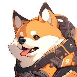 DOGEDA 的头像