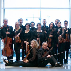 Musica Vitae Chamber Orchestra 的头像