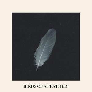 Birds of a Feather