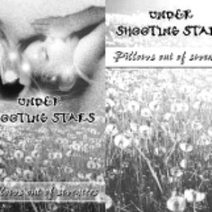 Image for 'Under Shooting Stars'