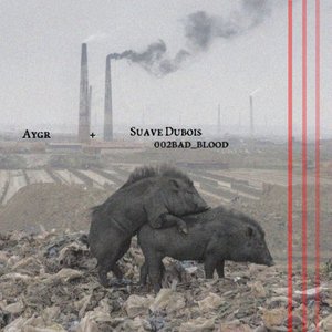 002Bad_Blood - Single