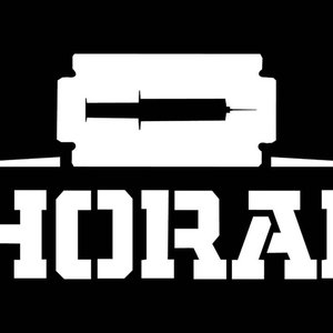 “TEAM SHORAIN”的封面