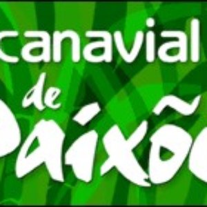 Canavial de Paixões 的头像