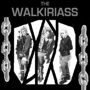 Image for 'The WalkiriaSS'
