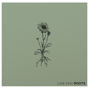 Roots