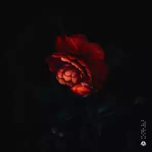 Look Forward EP