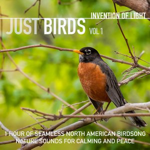 Just Birds Vol 1: 1 Hour of Seamless North American Birdsong Nature Sounds for Calming and Peace