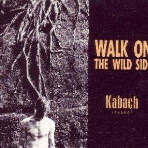 Walk On The Wild Side