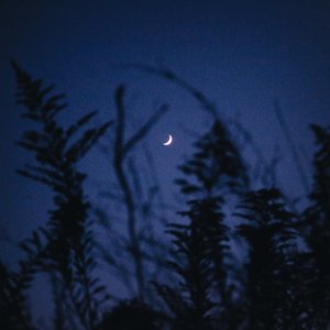 冬の海echoes 的头像