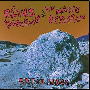 Rat In Space