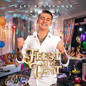 Artwork for FEEST IN DE TENT