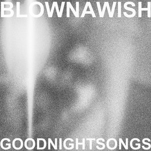 Immagine per 'Blown A Wish'