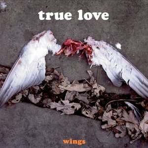 Wings