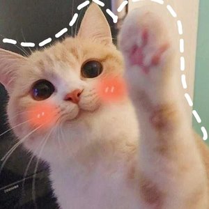 okthxbb 的头像