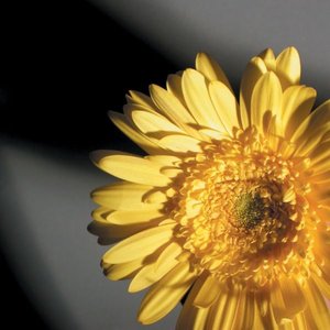 Moonglow / This Bitter Earth