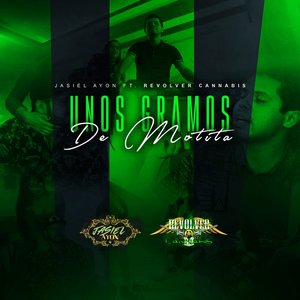 Unos Gramos de Motita