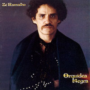 Zé Ramalho - Dominó Lyrics - Zortam Music