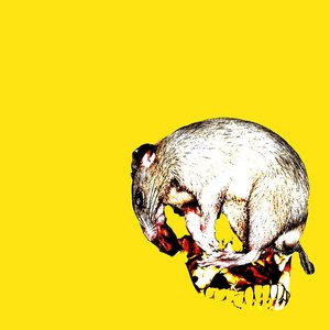 Disgust - EP