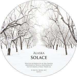 Solace / Earthloop [v]