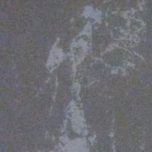 Hyrtwaundur 的头像