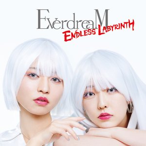 ENDLESS LABYRINTH