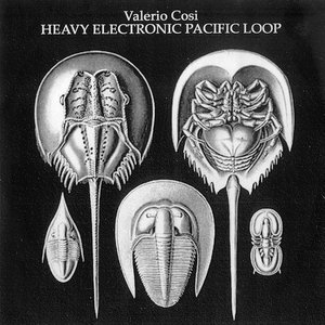 Heavy Electronic Pacific Loop