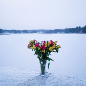 Wreathed in Life