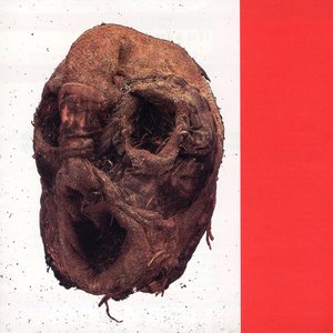 Hole In The Head