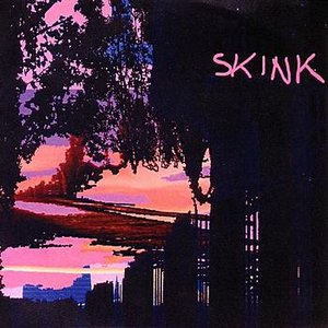 Skink