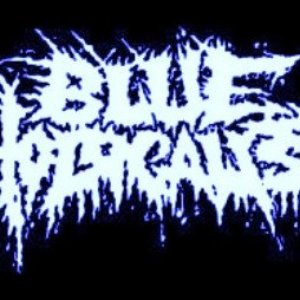 Blue Holocaust 的头像