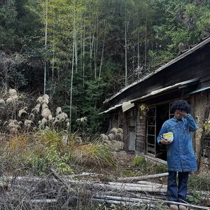 Avatar for taistreehouse