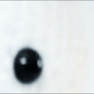 Stories - Single