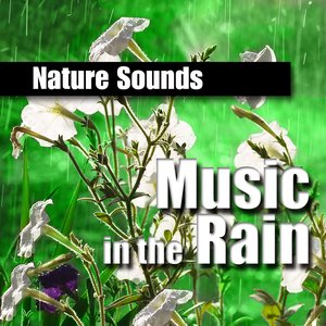 Music in the Rain (Music and Nature Sound)