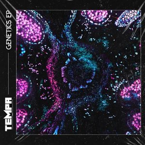 Genetics - EP