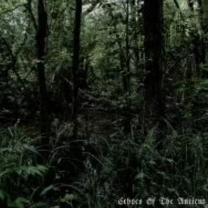 Coven Of The Swamp 的头像