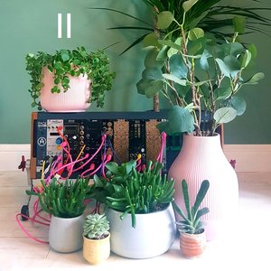 Music for Plants, Vol. 2