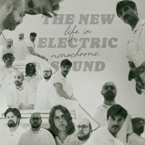 Life in Monochrome