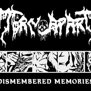 Dismembered Memories