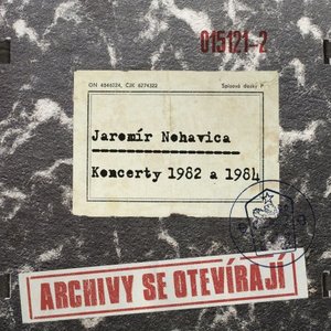 Koncerty 1982 a 1984