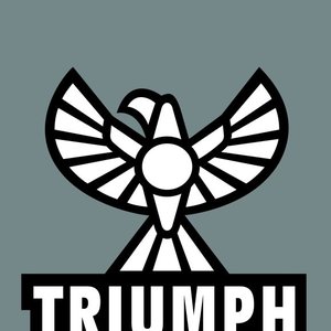 Avatar for Triumph Studios