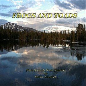 Frogs and Toads
