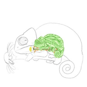 Purple Chameleon I