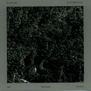 Four Grey Paintings (For Jim O'Rourke) cover