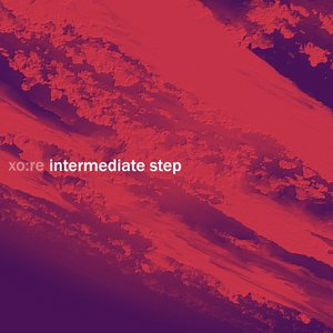 intermediate step